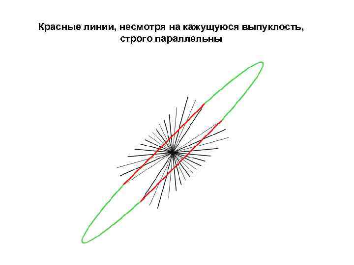 Красные линии, несмотря на кажущуюся выпуклость,   строго параллельны 