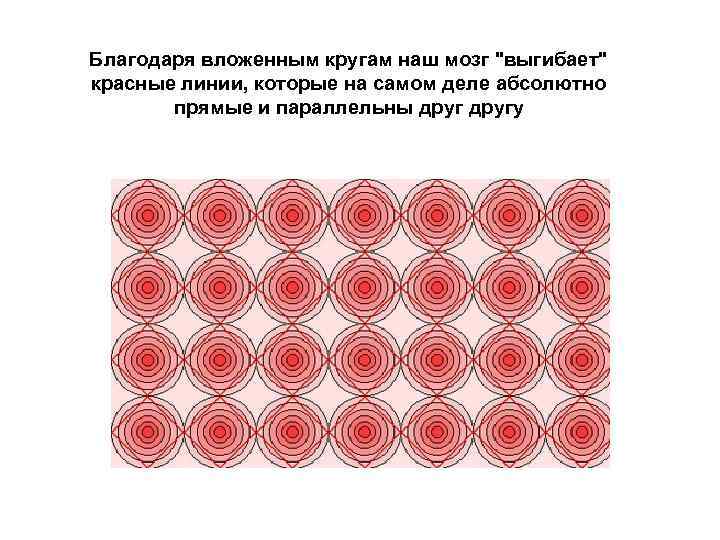 Благодаря вложенным кругам наш мозг 