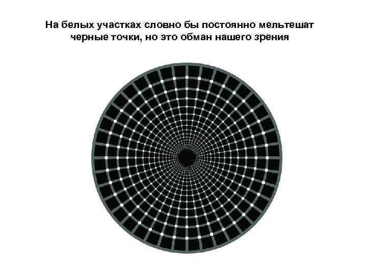 На белых участках словно бы постоянно мельтешат черные точки, но это обман нашего зрения