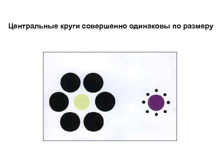 Центральные круги совершенно одинаковы по размеру 