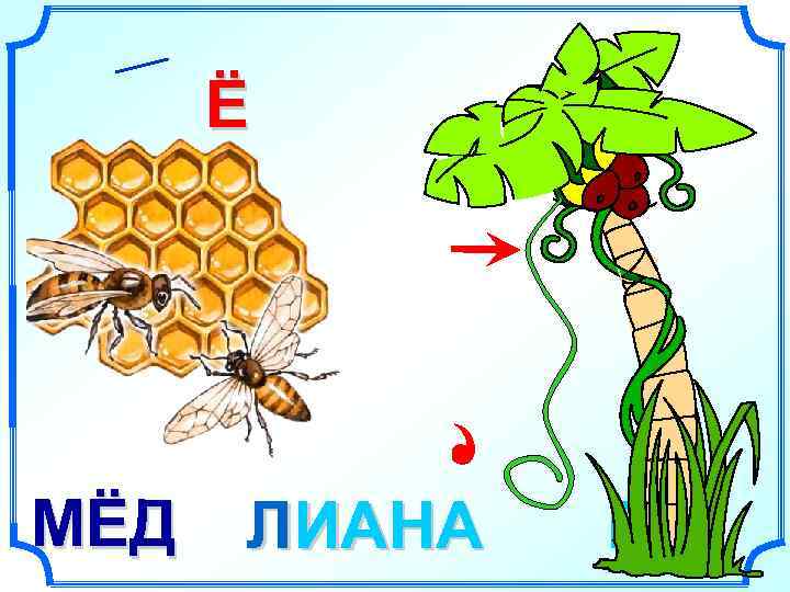  Ё МЁД  ЛИАНА  Р 