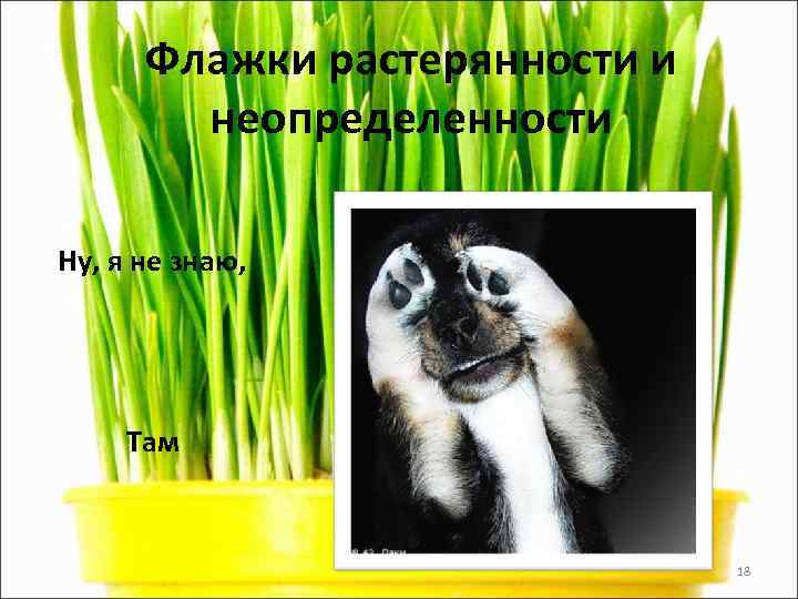  Флажки растерянности и   неопределенности Ну, я не знаю,  Там 