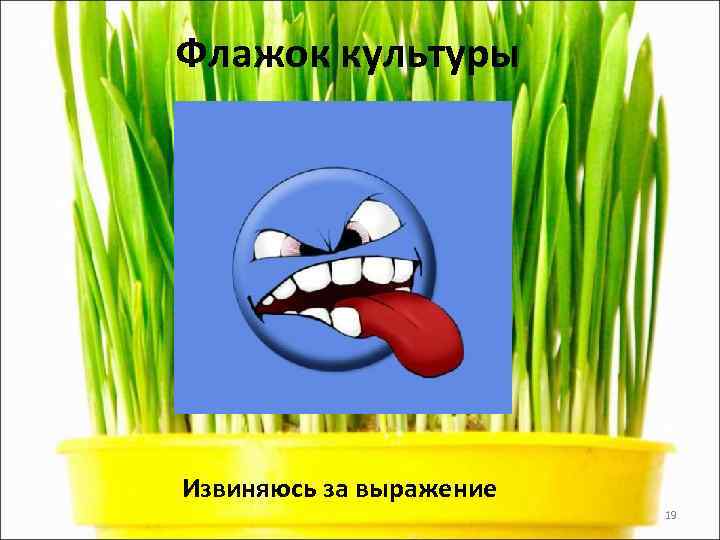 Флажок культуры Извиняюсь за выражение     19 