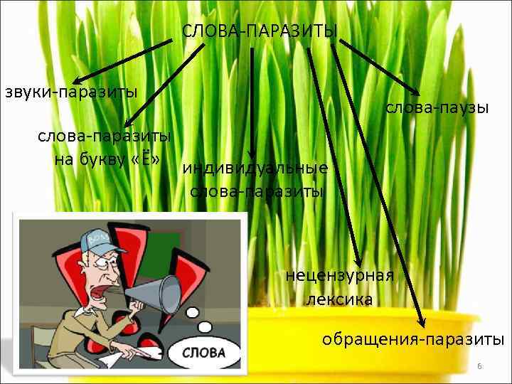    СЛОВА-ПАРАЗИТЫ  звуки-паразиты    слова-паузы  слова-паразиты на букву