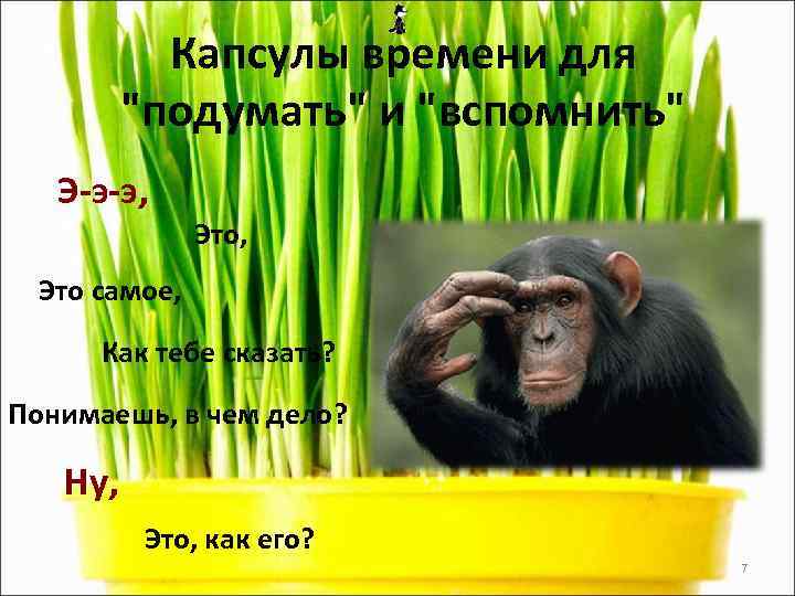   Капсулы времени для   