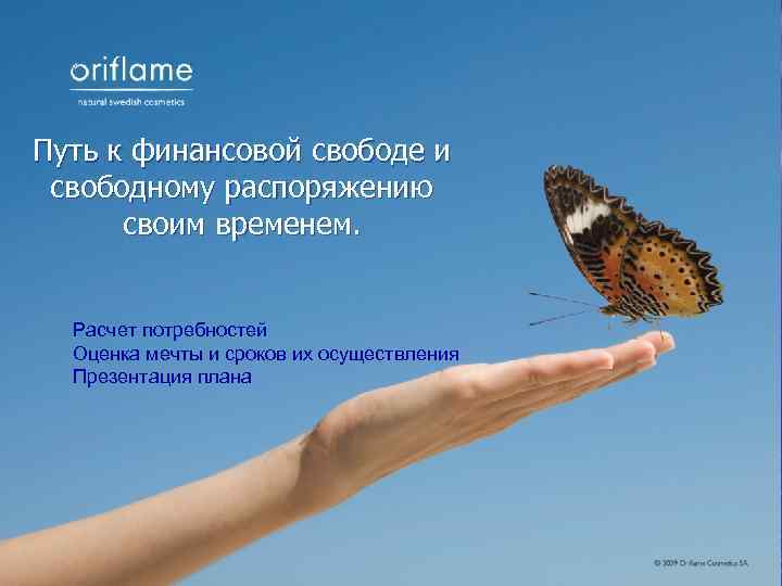Путь к финансовой свободе и  свободному распоряжению  своим временем. Расчет потребностей 