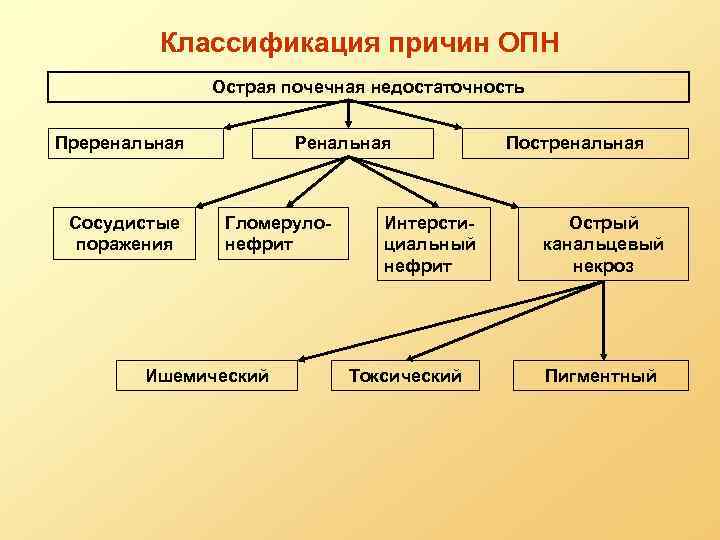 Классификация причин ОПН Острая почечная недостаточность Преренальная Сосудистые поражения Ренальная Гломерулонефрит Ишемический Интерстициальный нефрит