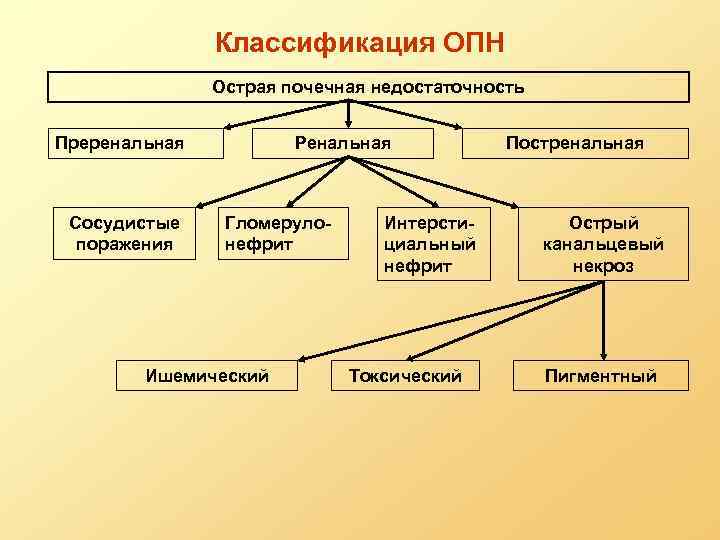 Классификация ОПН Острая почечная недостаточность Преренальная Сосудистые поражения Ренальная Гломерулонефрит Ишемический Интерстициальный нефрит Токсический