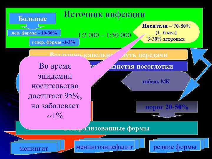  Больные    Источник инфекции     Носители – 70