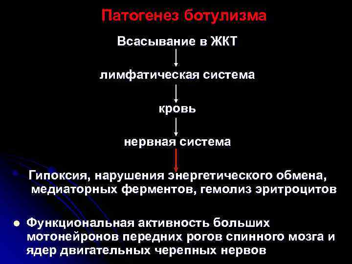    Патогенез ботулизма   Всасывание в ЖКТ    лимфатическая