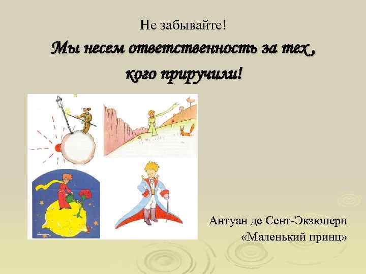   Не забывайте! Мы несем ответственность за тех ,   кого приручили!