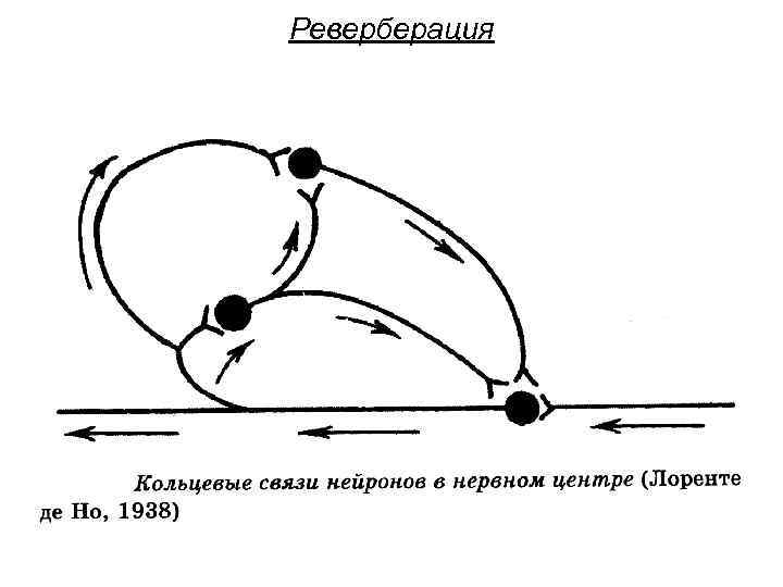 Реверберация 