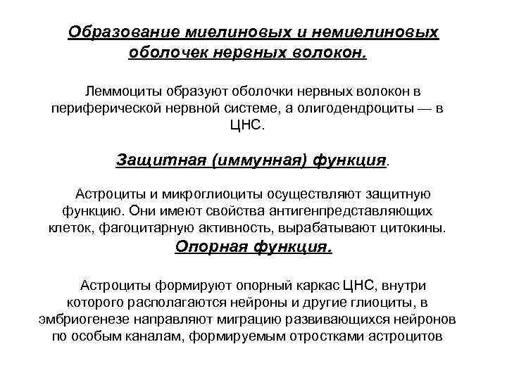 Образование миелиновых и немиелиновых оболочек нервных волокон. Леммоциты образуют оболочки нервных волокон в периферической