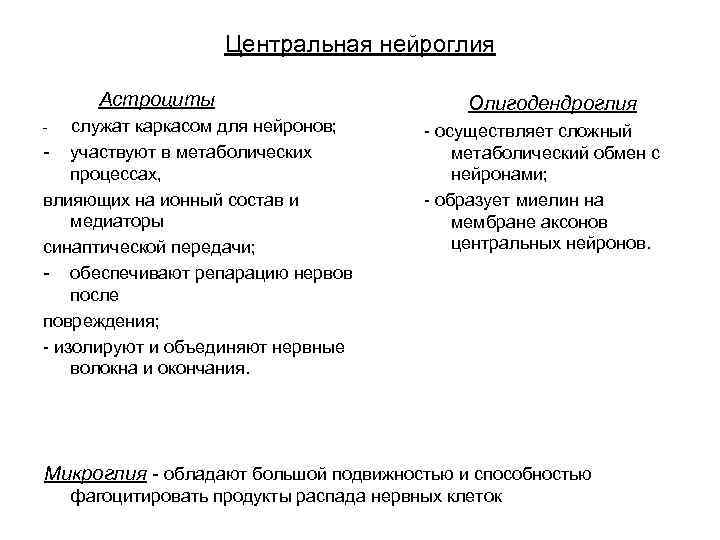 Центральная нейроглия Астроциты Олигодендроглия - служат каркасом для нейронов; - осуществляет сложный метаболический обмен