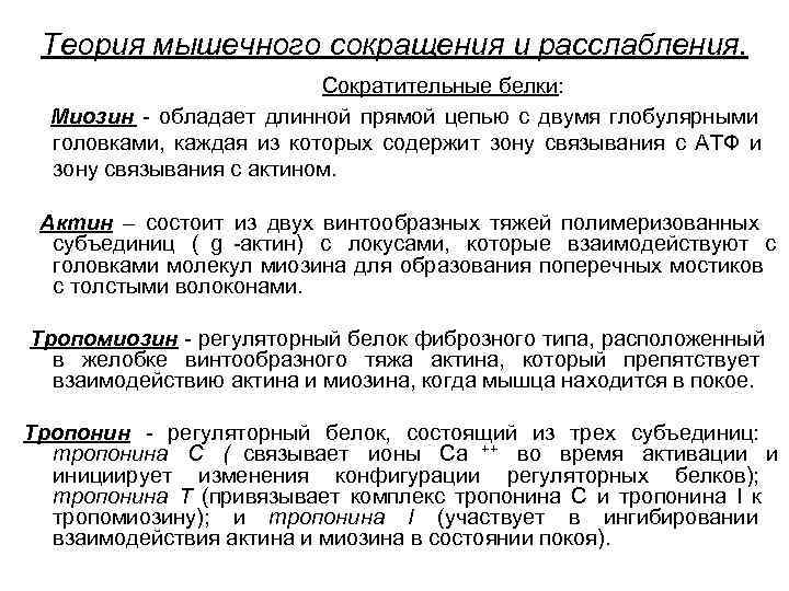  Теория мышечного сокращения и расслабления.    Сократительные белки:  Миозин -