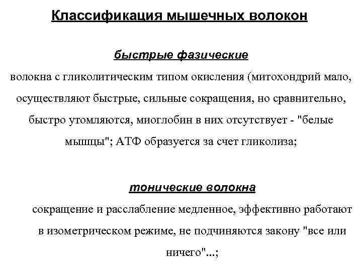   Классификация мышечных волокон     быстрые фазические волокна с гликолитическим