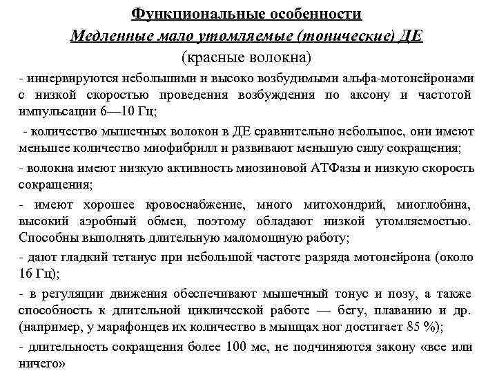     Функциональные особенности   Медленные мало утомляемые (тонические) ДЕ 
