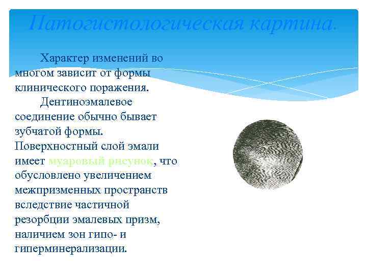  Патогистологическая картина.  Характер изменений во многом зависит от формы клинического поражения. 