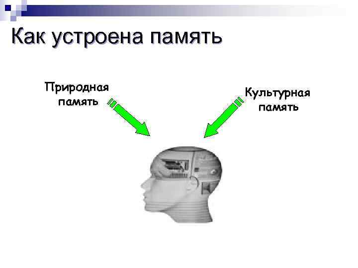 Как работает память человека