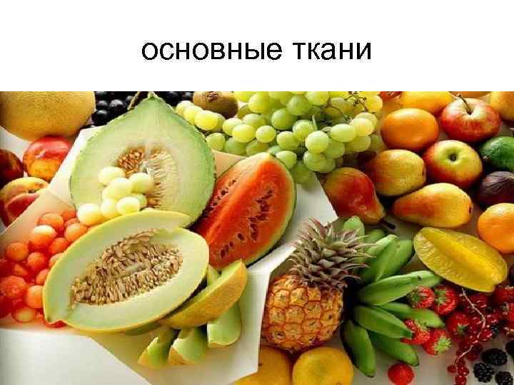 основные ткани 