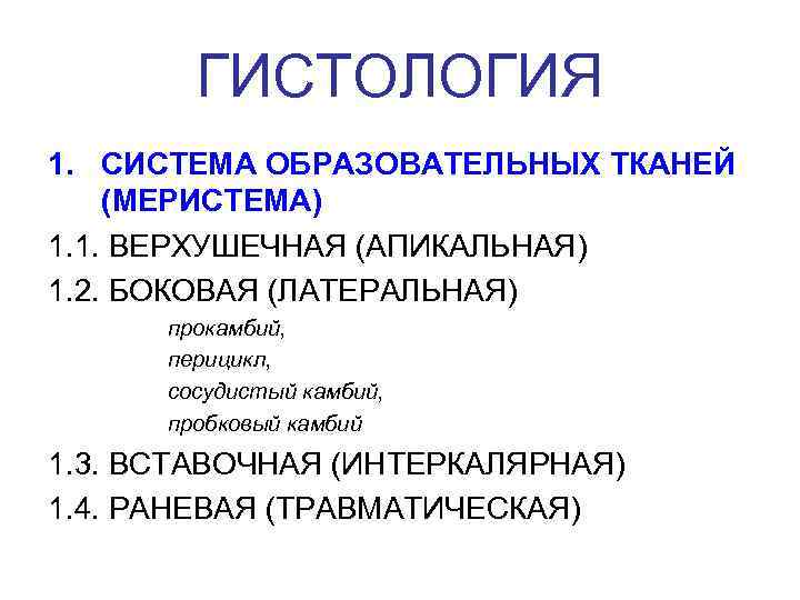   ГИСТОЛОГИЯ 1. СИСТЕМА ОБРАЗОВАТЕЛЬНЫХ ТКАНЕЙ (МЕРИСТЕМА) 1. 1. ВЕРХУШЕЧНАЯ (АПИКАЛЬНАЯ) 1. 2.