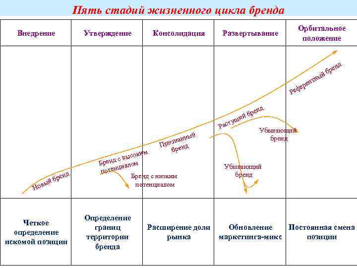 5 стадий жизненного цикла