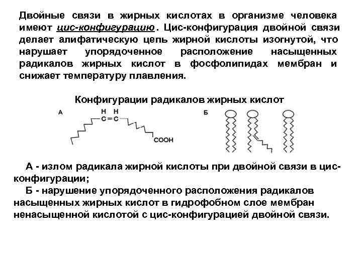 Аминокислоты жиры липиды. Ненасыщенные жирные кислоты двойные связи. Цис конфигурация жирных кислот. Двойные связи в жирных кислотах. Цис конфигурация двойных связей.