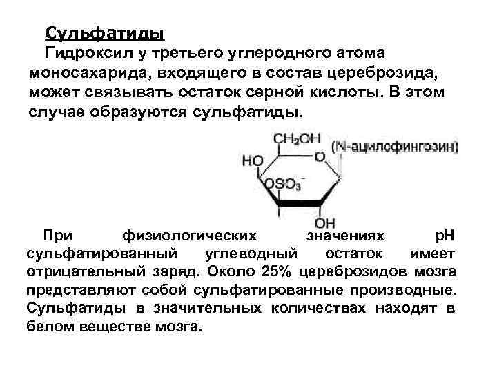  Сульфатиды  Гидроксил у третьего углеродного атома моносахарида, входящего в состав цереброзида, 
