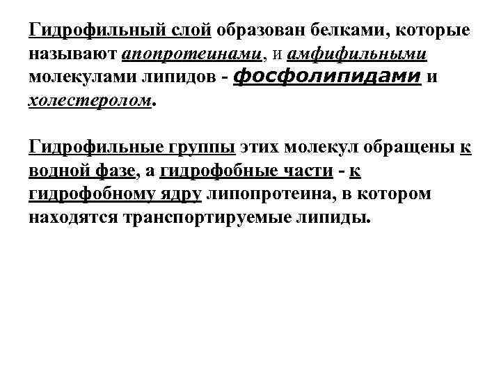 Гидрофильный слой образован белками, которые называют апопротеинами, и амфифильными молекулами липидов - фосфолипидами и Гидрофильный слой образован белками, которые называют апопротеинами, и амфифильными молекулами липидов - фосфолипидами и