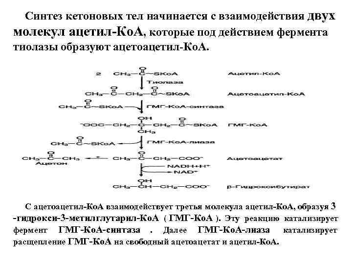 Схема синтеза кетоновых тел в биохимии