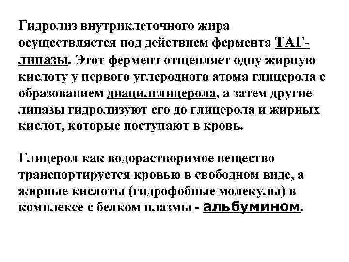 Гидролиз внутриклеточного жира осуществляется под действием фермента ТАГ- липазы. Этот фермент отщепляет одну жирную