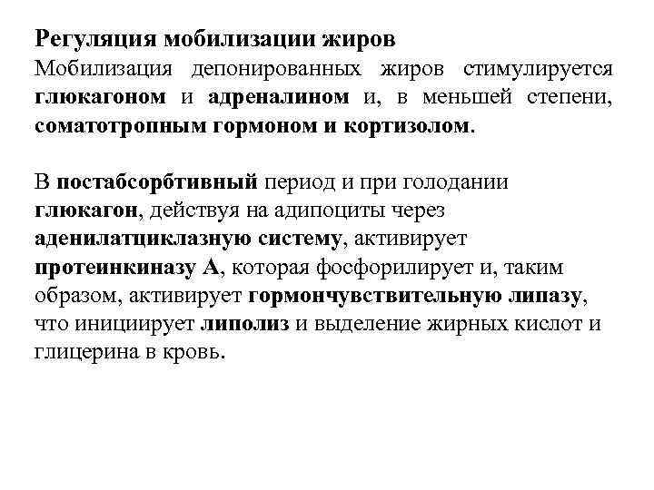 В абсорбтивный период активно протекает