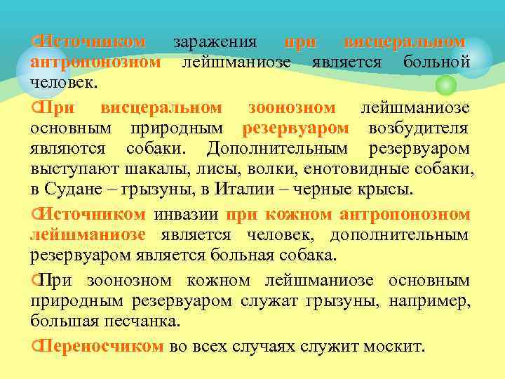 ¢Источником заражения при висцеральном антропонозном лейшманиозе является больной человек. ¢При висцеральном зоонозном лейшманиозе основным
