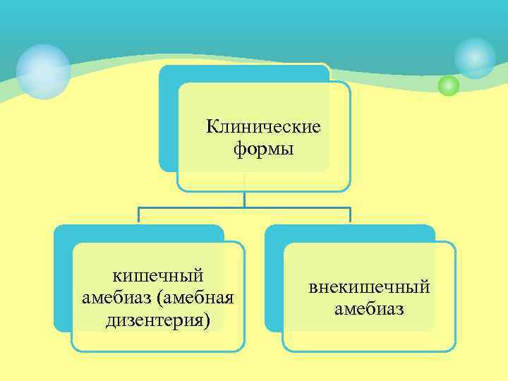    Клинические    формы  кишечный    внекишечный