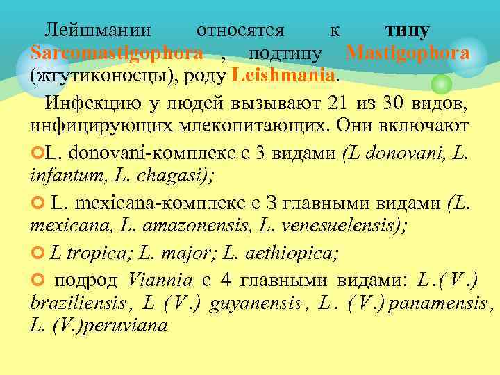  Лейшмании  относятся  к  типу Sarcomastigophora , подтипу Mastigophora (жгутиконосцы), роду