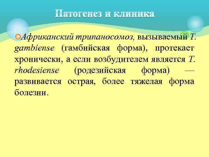 ¢Африканский трипаносомоз, вызываемый Т. gambiense (гамбийская форма), протекает хронически, а если возбудителем является Т.