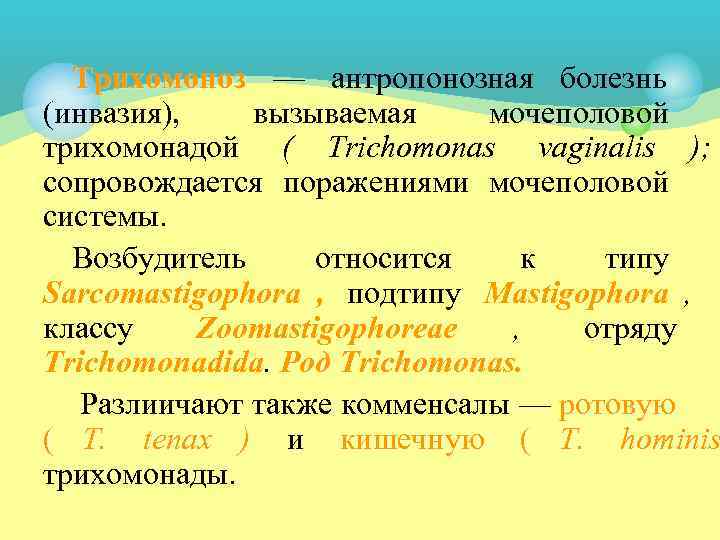  Трихомоноз — антропонозная болезнь (инвазия), вызываемая мочеполовой трихомонадой ( Trichomonas vaginalis ); сопровождается