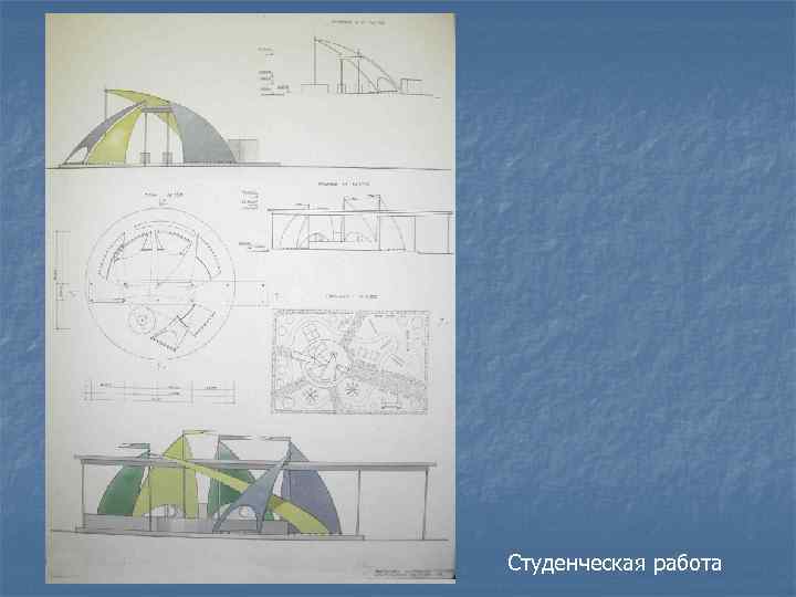 Студенческая работа 