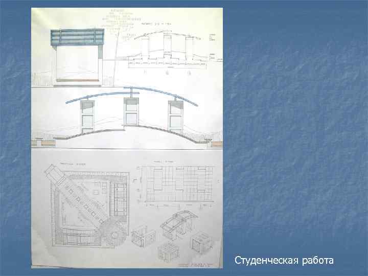 Студенческая работа 