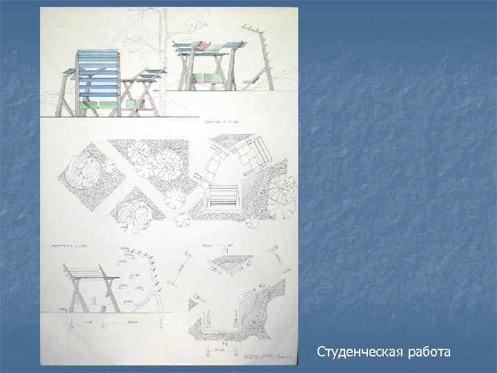 Студенческая работа 