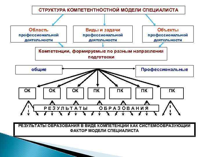    СТРУКТУРА КОМПЕТЕНТНОСТНОЙ МОДЕЛИ СПЕЦИАЛИСТА  Область    Виды и