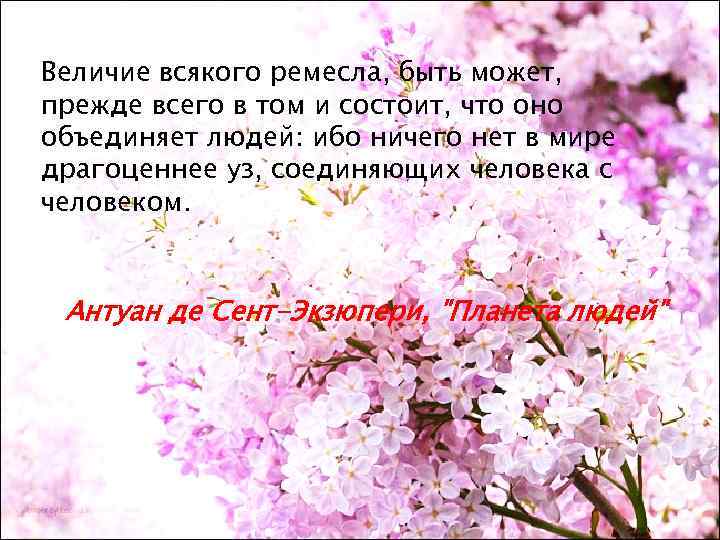 Величие всякого ремесла, быть может, прежде всего в том и состоит, что оно объединяет