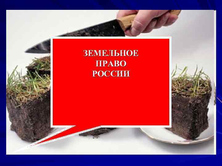 ЗЕМЕЛЬНОЕ ПРАВО РОССИИ ЗЕМЕЛЬНОЕ ПРАВО РОССИИ