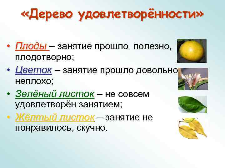   «Дерево удовлетворённости»  • Плоды – занятие прошло полезно,  плодотворно; 