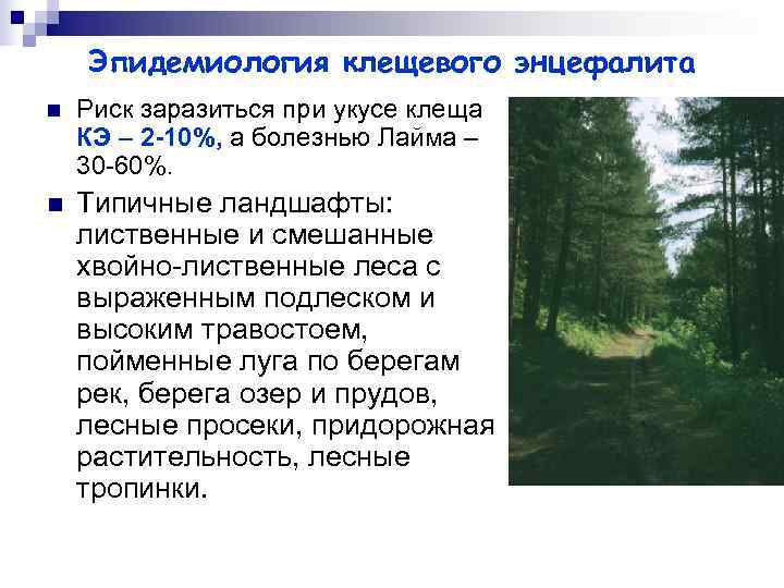   Эпидемиология клещевого энцефалита n  Риск заразиться при укусе клеща КЭ –