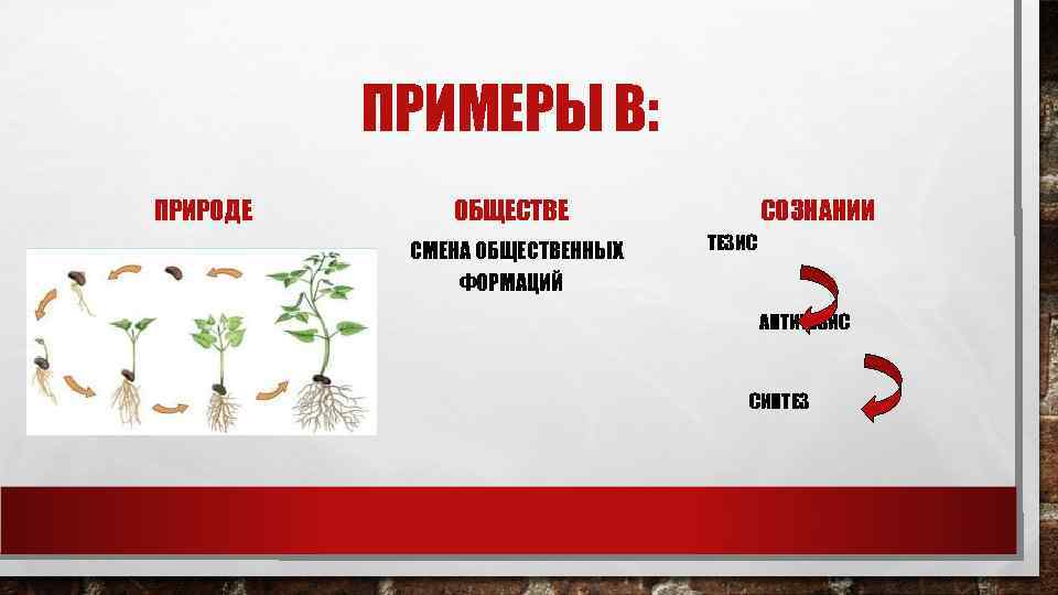    ПРИМЕРЫ В: ПРИРОДЕ  ОБЩЕСТВЕ   СОЗНАНИИ  . 