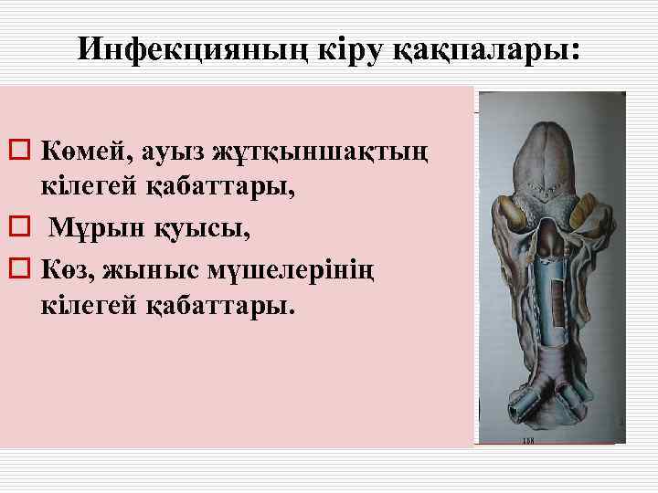   Инфекцияның кіру қақпалары:  o Көмей, ауыз жұтқыншақтың  кілегей қабаттары, o