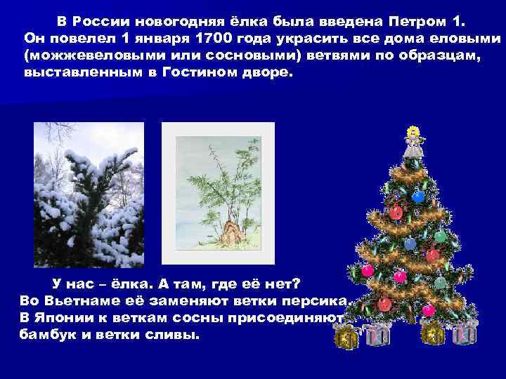   В России новогодняя ёлка была введена Петром 1. Он повелел 1 января