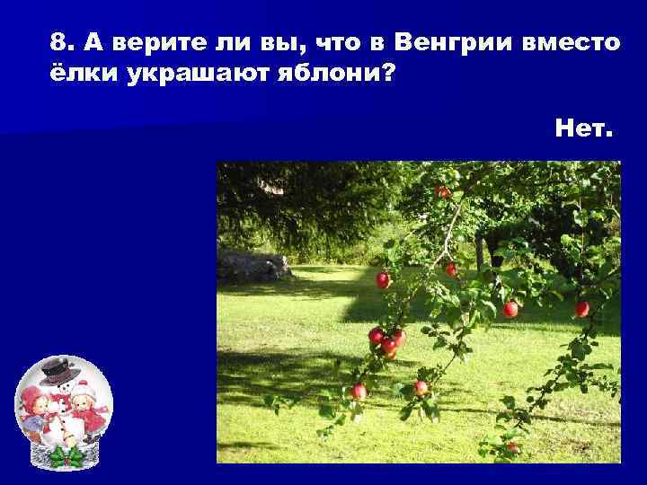 8. А верите ли вы, что в Венгрии вместо ёлки украшают яблони?  
