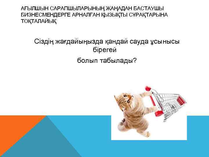 АҒЫЛШЫН САРАПШЫЛАРЫНЫҢ ЖАҢАДАН БАСТАУШЫ БИЗНЕСМЕНДЕРГЕ АРНАЛҒАН ҚЫЗЫҚТЫ СҰРАҚТАРЫНА ТОҚТАЛАЙЫҚ Сіздің жағдайыңызда қандай сауда ұсынысы